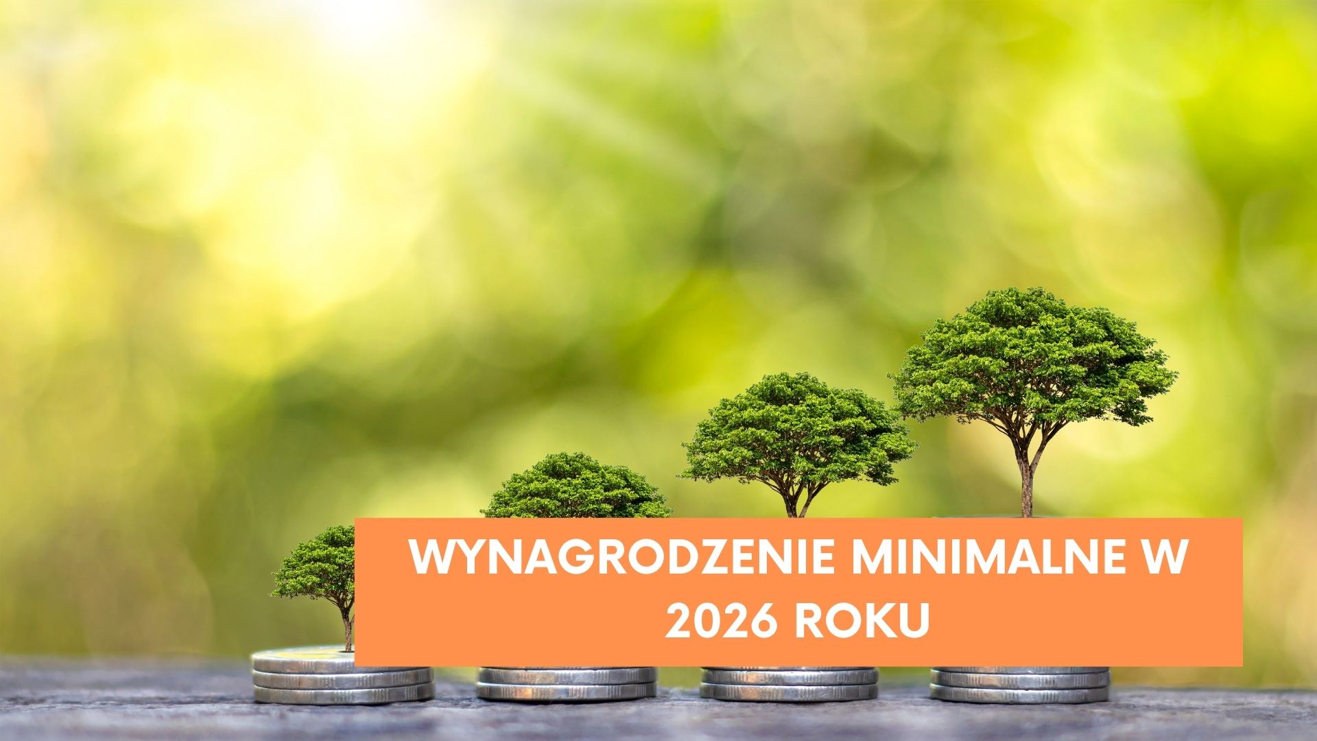 Najniższa krajowa w 2026 roku